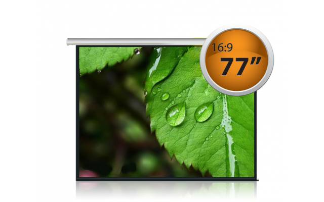 Pantalla para proyector 77'' 16:9